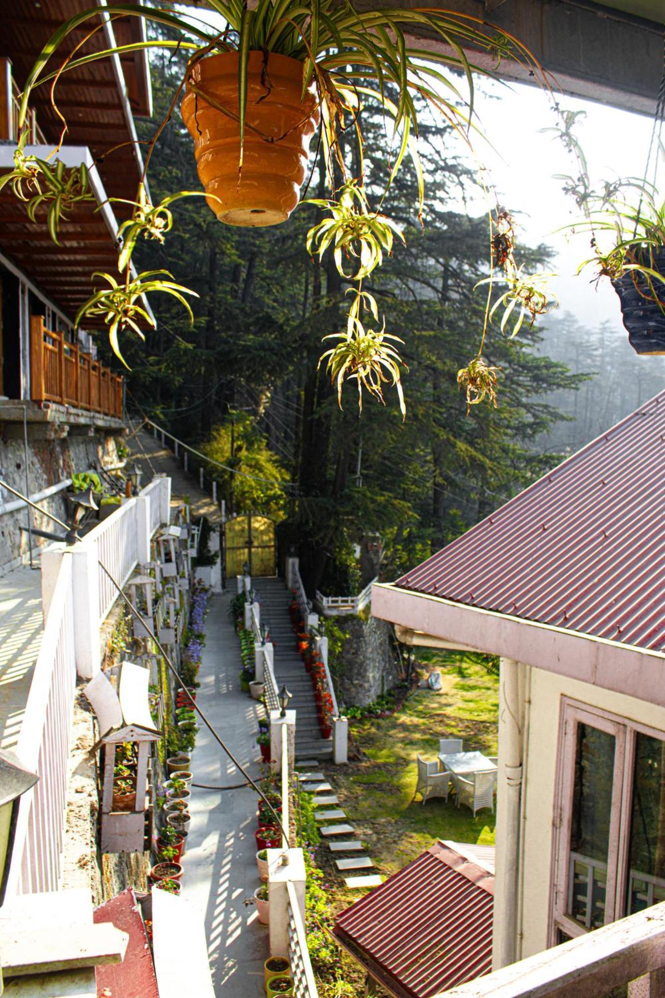 فيلا شيملافي Whispering Pines المظهر الخارجي الصورة