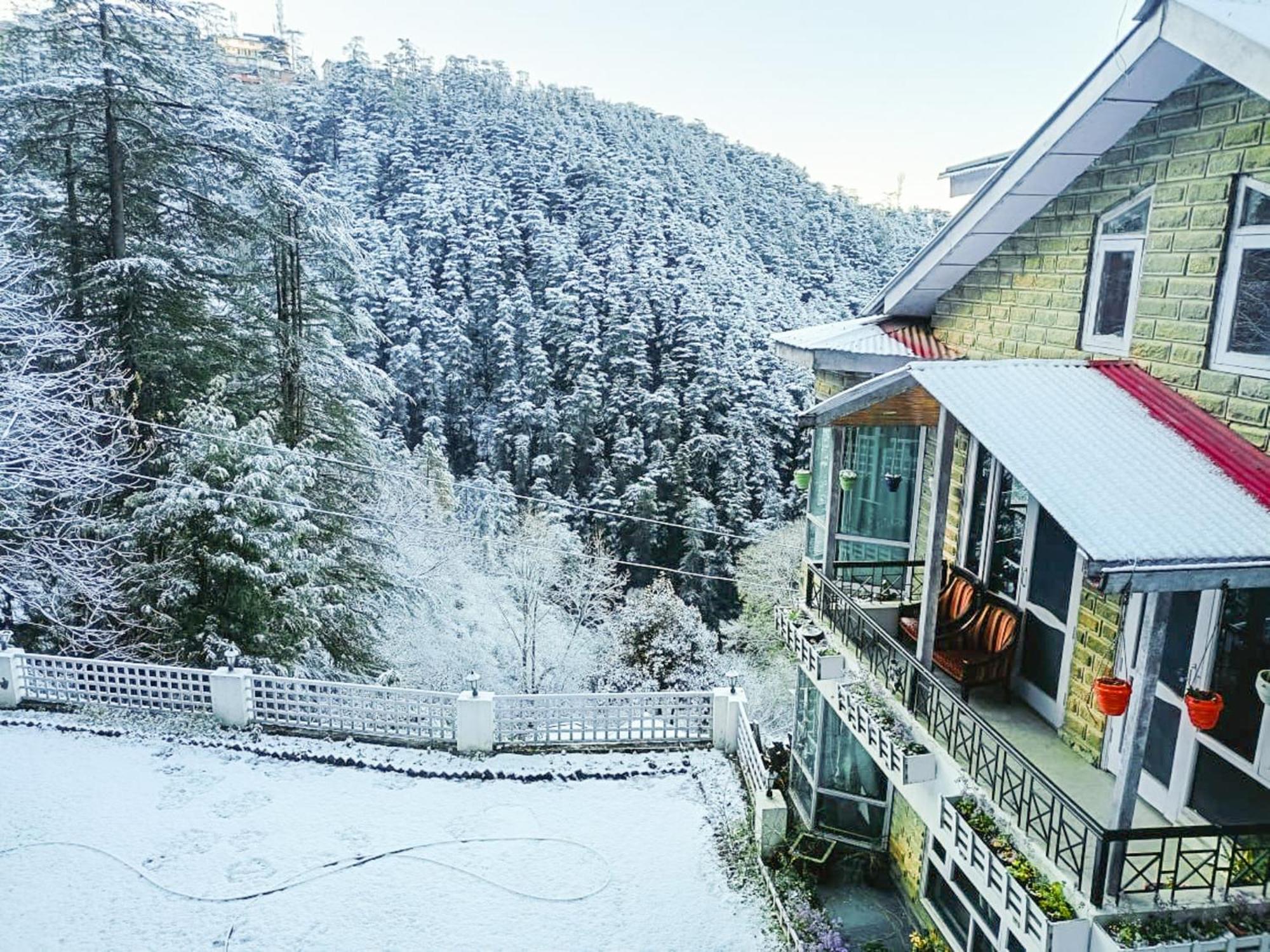 فيلا شيملافي Whispering Pines المظهر الخارجي الصورة